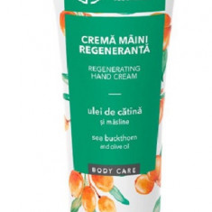 Crema maini ulei catina+masline 100ml cosmetic plant