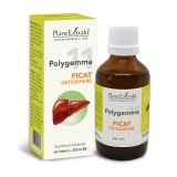 Polygemma 11, Ficat detoxifiere, 50 ml, Plant Extrakt