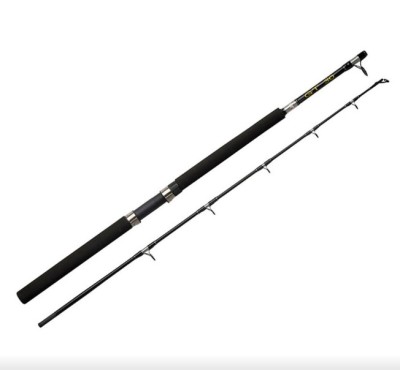 Lanseta Abu Garcia GT 602 Boat, 1.83m, 2seg, 245g foto