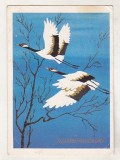 bnk cp Carte postala - Imprimat sah prin corespondenta - circulata - 1995