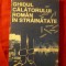 Minister Afaceri Externe -Ghidul calatorului roman in strainatate 1993 , 192pag