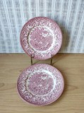 Lot de 2 farfurii model peisaj englezesc