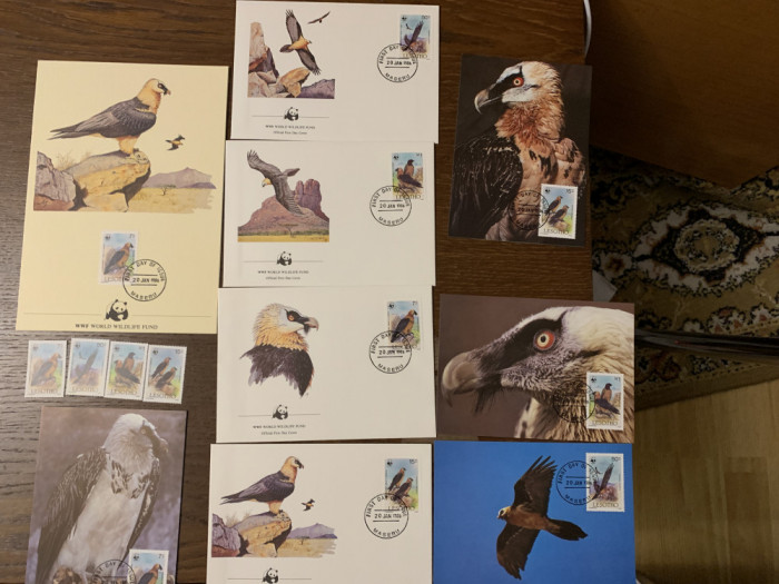 leshoto - pasari - vultur - serie 4 timbre MNH, 4 FDC, 4 maxime, fauna wwf