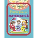 Primii pasi in Matematica. Caiet de lucru, clasa pregatitoare - Alina Grigore