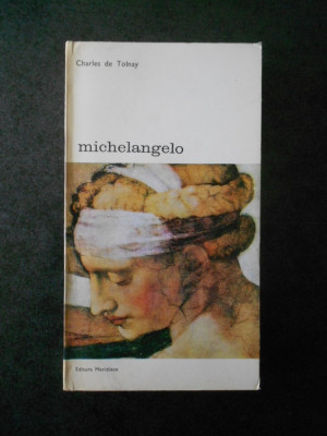 CHARLES DE TOLNAY - MICHELANGELO foto