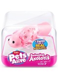 Pets Alive Swimming Axolotl Random (9556uq1)