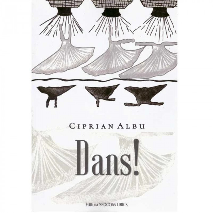 Ciprian Albu - Dans!, roman T11