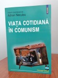 Adrian Neculau (coordonator), Viața cotidiană &icirc;n comunism