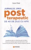 Carte Cezar Elisei - Jurnal Post Terapeutic 40 Zile Apa, 2020, 225 pagini, 13x20 cm, romana, brosata, Medicina Alternativa
