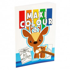 Carte de colorat Maxi Colour (Vol. 2) - Paperback brosat - Europrice