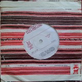 Disc Vinil Remus Bistrița - Doina De La Marga-Electrecord-EPC 10.048