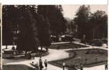 CPIB 22735 - CARTE POSTALA - BORSEC. VEDERE DIN PARC