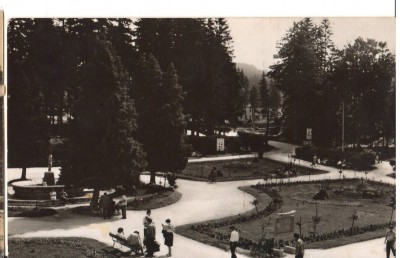 CPIB 22735 - CARTE POSTALA - BORSEC. VEDERE DIN PARC foto