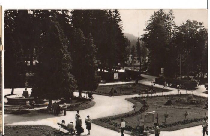 CPIB 22735 - CARTE POSTALA - BORSEC. VEDERE DIN PARC