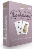 Cumpara ieftin Montessori. Asocieri: Urme De Animale, - Editura Gama