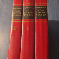 Atlas de anatomie umana 1972 3 volume in limba rusa