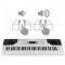 Orga FunKey 61 Edition Touch WH ALB