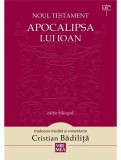 Apocalipsa lui Ioan - Cristian Badilita - Editura Vremea
