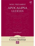 Apocalipsa lui Ioan