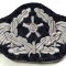 WW2 Ecuson Shield German LW Soldat Technisches Sleeve