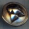 AX 1173 NASTURE METALIC MASONIC ? - CRUCEA SAGITARA -PENTRU COLECTIONARI