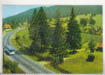 bnk cp Izvorul Muresului - Spre complexul turistic - circulata foto