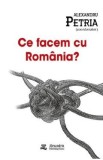Ce facem cu Romania? - Alexandru Petria