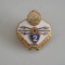 QW9 N2 86 - insigna - militar - comunism - transmisiuni - specialist clasa 2