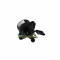 Motoras reglare faruri VW GOLF V Variant (1K5) (2007 - 2009) TYC 20-11257-MA-1