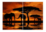 Tablou multicanvas 2 piese Elefanti 2, 100 x 70 cm