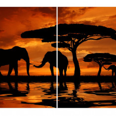 Tablou multicanvas 2 piese Elefanti 2, 100 x 70 cm