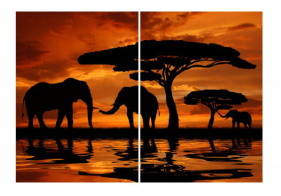 Tablou multicanvas 2 piese Elefanti 2, 100 x 70 cm foto