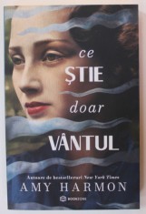 CE STIE DOAR VANTUL de AMY HARMON , 2021