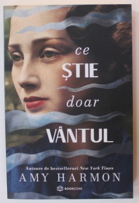CE STIE DOAR VANTUL de AMY HARMON , 2021 foto