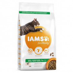 Iams Cat Adult Salmon 2 kg foto