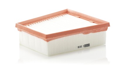 MANN-FILTER C 2030 Filtru aer foto