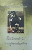 Straluminari in Unghere Adumbrite - Elena-Alciona Anton, Crestinism, Carmel Print, 2006, Romana, Paperback