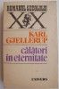 Calatori in eternitate - Karl Gjellerup - Roman