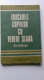 Educarea copiilor cu vedere slaba ambliopi &ndash; Mircea Stefan (5+1)5