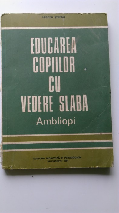 Educarea copiilor cu vedere slaba ambliopi &ndash; Mircea Stefan (5+1)5