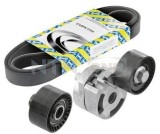 Set curea transmisie cu caneluri Citroen Berlingo Berlingo First, C3 I; Ford Fiesta V, Fusion; Mazda 2; Peugeot 206, 206 Sw, 407, 407 Sw Motor 1.4