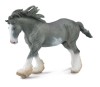 Armasar Clydesdale Negru, Collecta