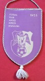 Fanion fotbal - FC ARGES PITESTI (anii`80)