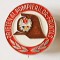 INSIGNA PRIETEN AL POMPIERILOR FRUNTAS ALUMINIU VOPSIT 20 MM IMPECABILA PIONIER PIONIERI PIONERESC ( CITITI DESCRIEREA )