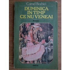 Cornel Bozbici - Duminica in timp ce nu veneai