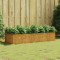Strat &icirc;naltat de gradina, 200x80x40 cm, otel corten GartenMobel Dekor