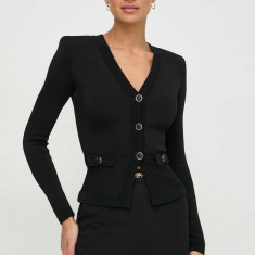 Elisabetta Franchi cardigan femei, culoarea negru, light