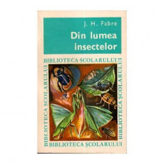 Din lumea insectelor foto