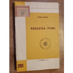 Povestea piinii- Elena Boldea