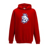 Echipa națională de hochei hanorac cu glugă pentru copii Czech Republic kangaroo logo lion red - Dětsk&eacute; L (7-8 let)